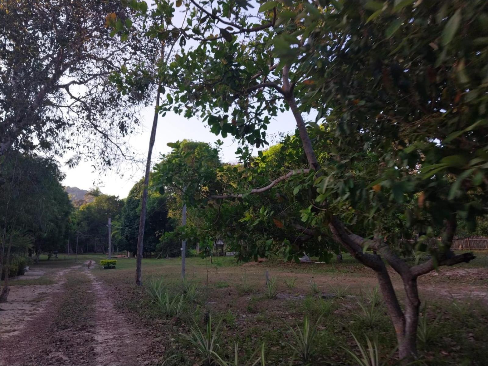 Portobello Lodge Santarem