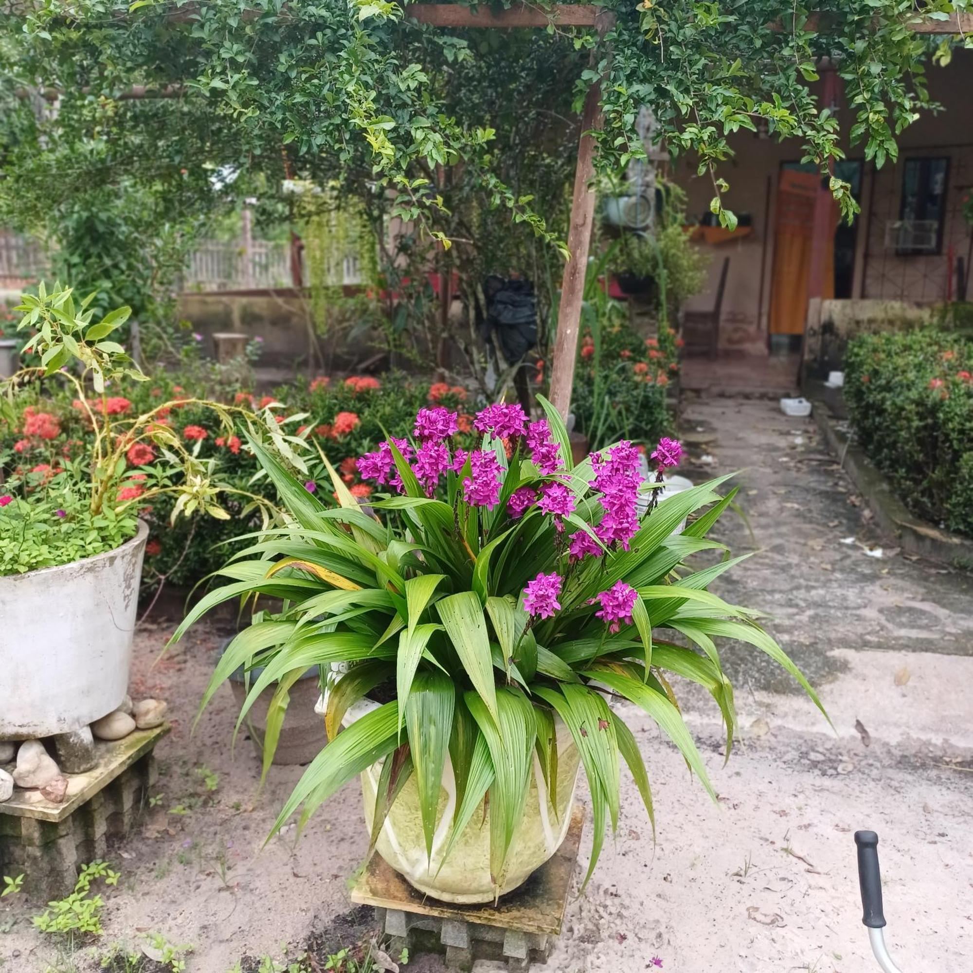 Portobello Lodge Santarem